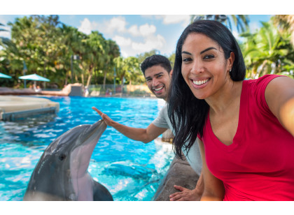 SeaWorld Orlando - Dolphin Encounter